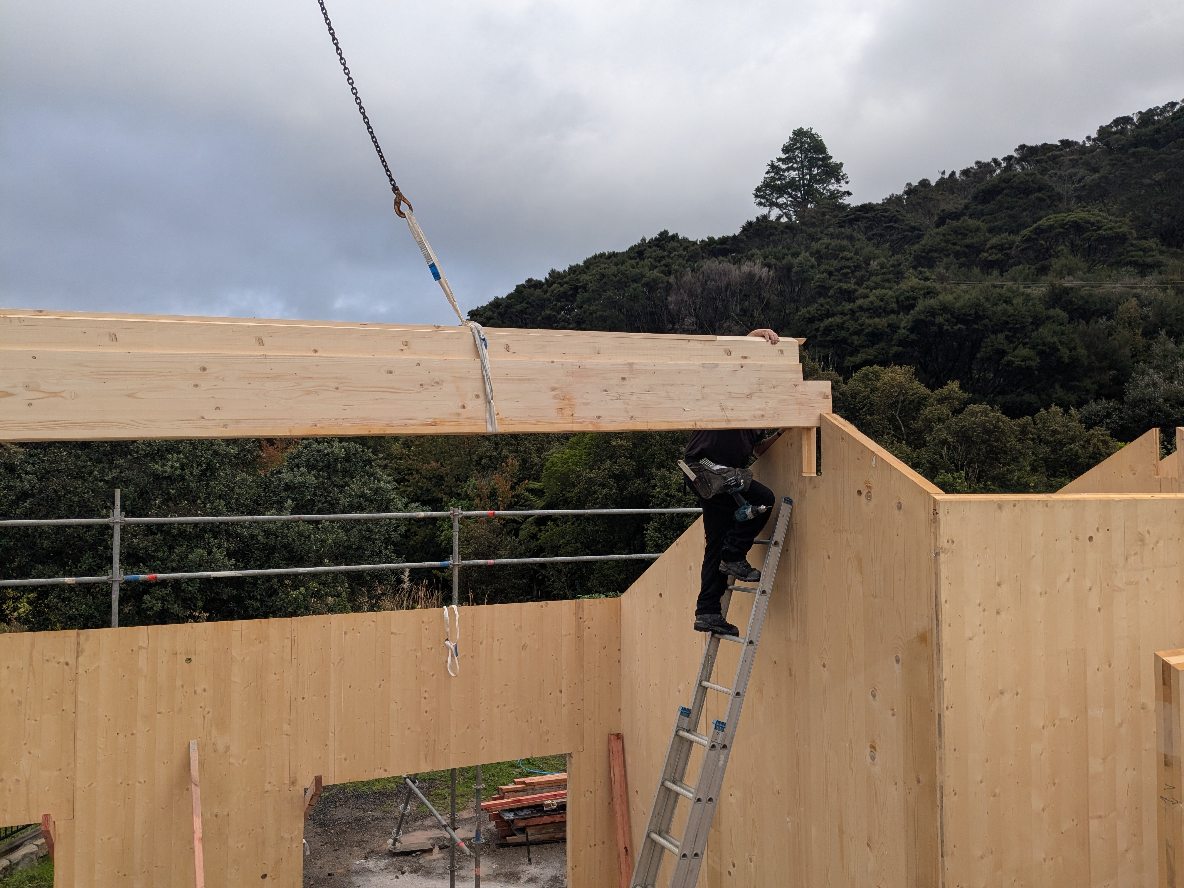Large glulam structural timber beam
